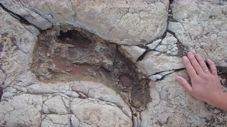 Mendoza, para visitar los yacimiento de huellas prehistóricas